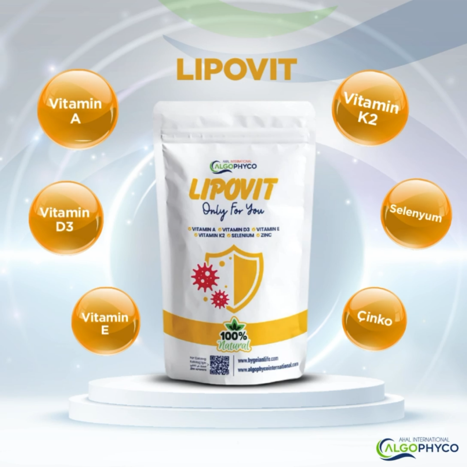 AlgoPhyco Lipovit Patch 24 Adet Bant