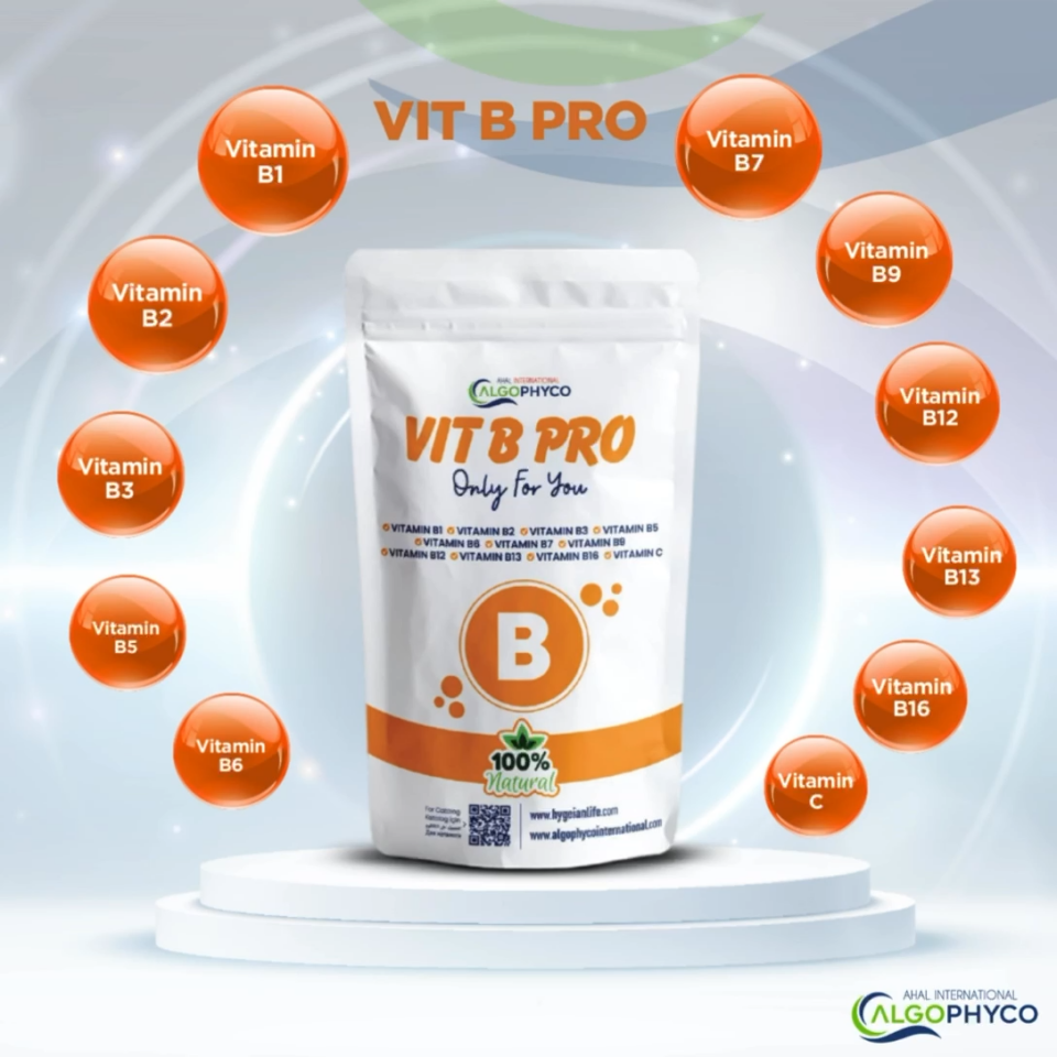 AlgoPhyco Vit B Pro Patch 24 Adet