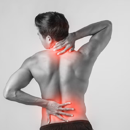 Eklem ve Kas Sağlığı